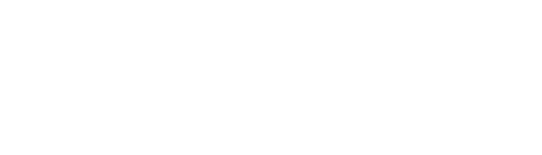 Zonika